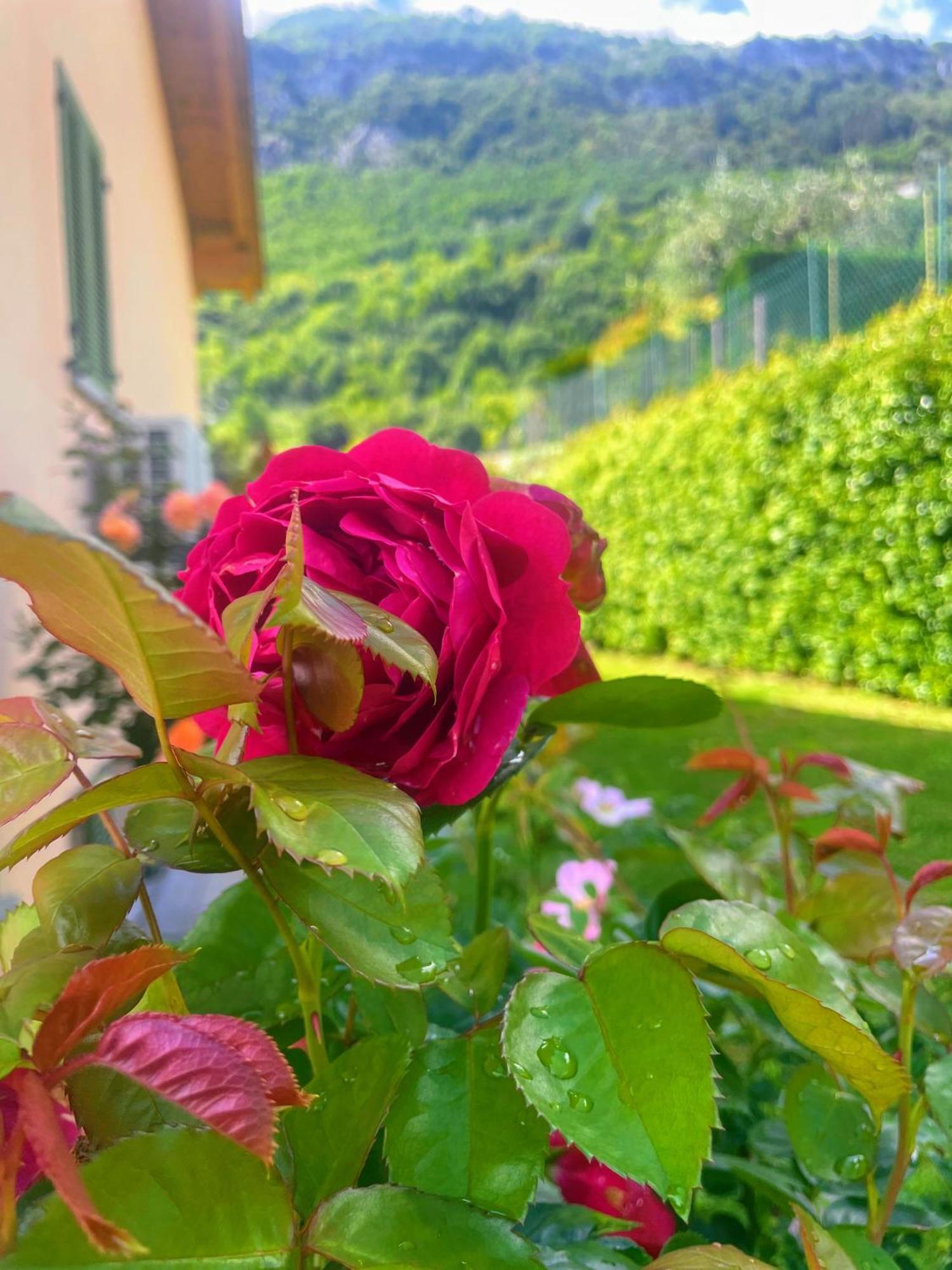 Comacina Villa Como Buitenkant foto